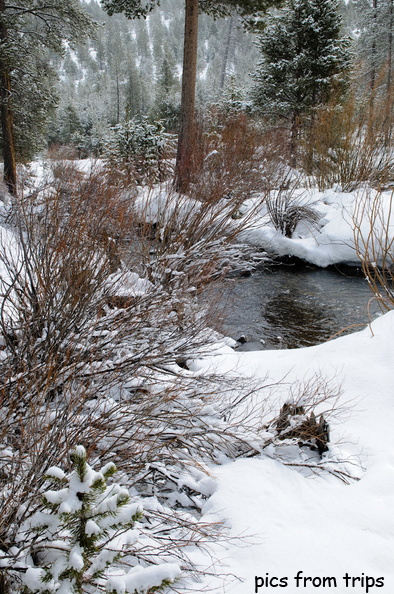 creek in the snow2010d07c033.jpg